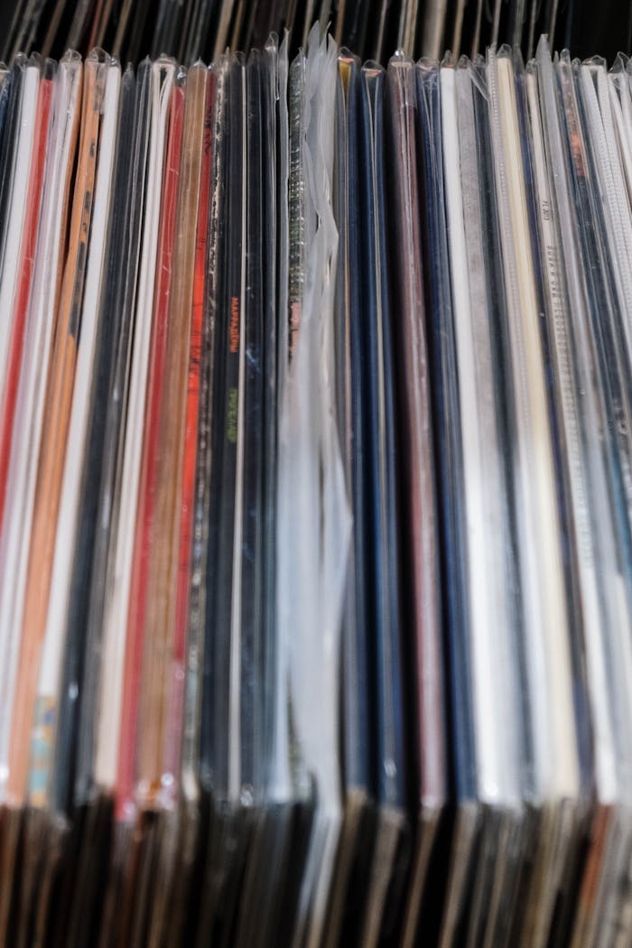 services-03 Close-up view of a vibrant collection of vintage vinyl records lined up vertically on a shelf.