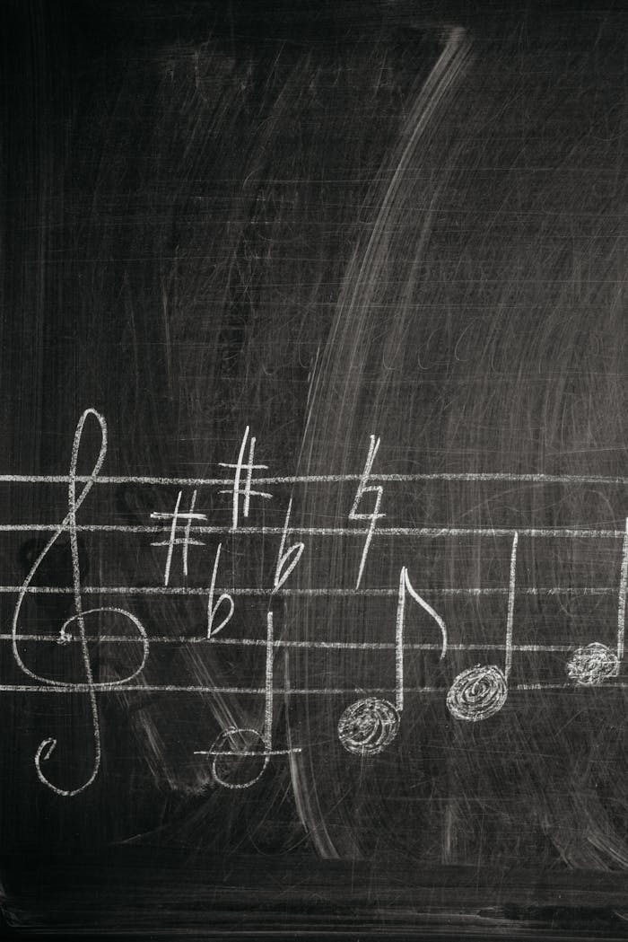 services-05 Close-up of chalkboard with music notation, ideal for education themes.